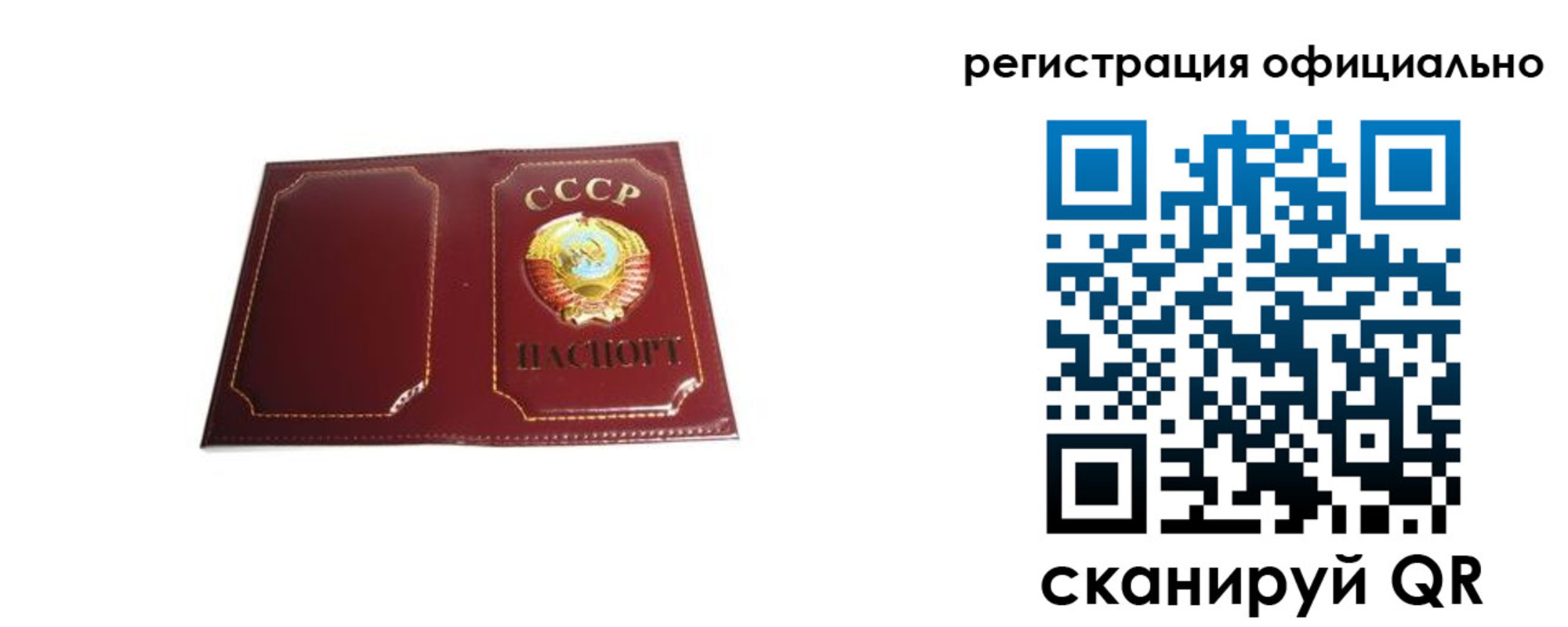 прописка в Лосино-Петровском